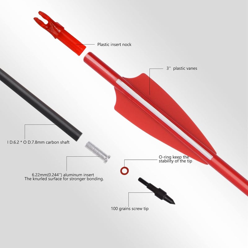 TY Archery Carbon Arrow Archery 26 28 30inch Hunting Target Practice Arrows for Compound & Recurve Bow Spine 500 with Removable Tips (Pack of 12) - Image 3